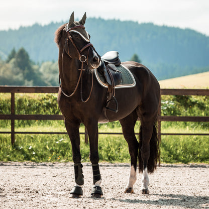 Horze Montauk AP Saddle Pad