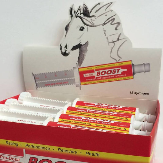 Pro Dosa Boost