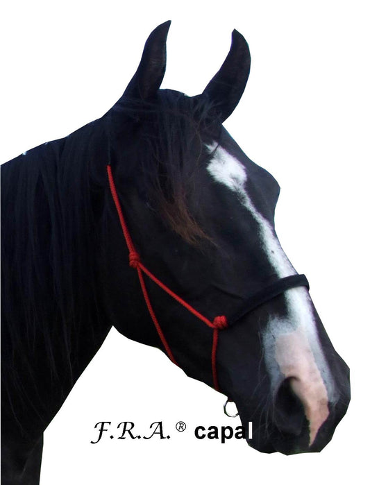 FRA Training Halter with Nubuck