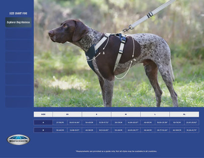 Weatherbeeta Explorer Dog Harness