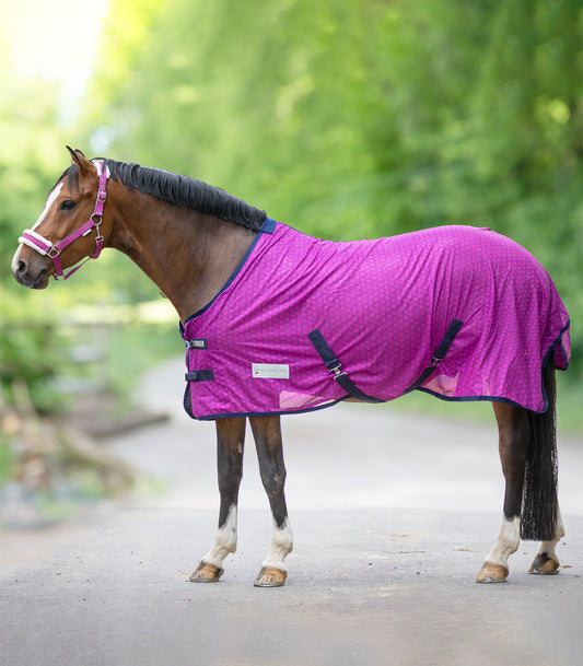 Unicorn Hearts Fly Rug