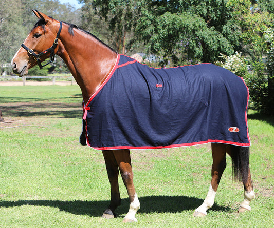 Zilco Stadium Wool Rug Navy with Red and White trim