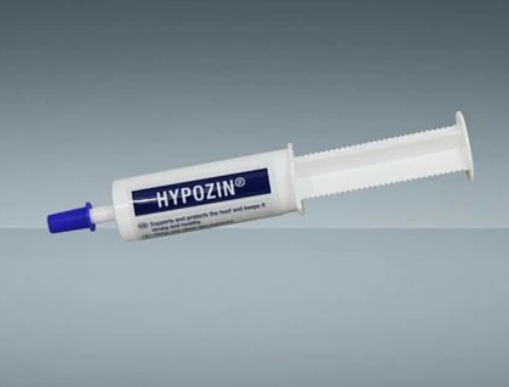 Hypozin Thrush Treatment 100g