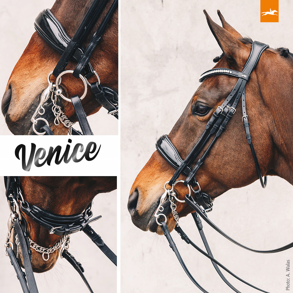 Schockemohle Venice Double Bridle