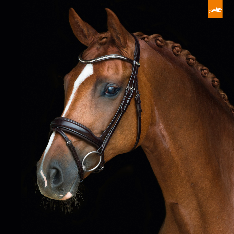 Schockemohle Concord Bridle