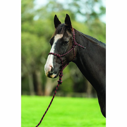 Two Tone Rope Headcollar and Lead Set