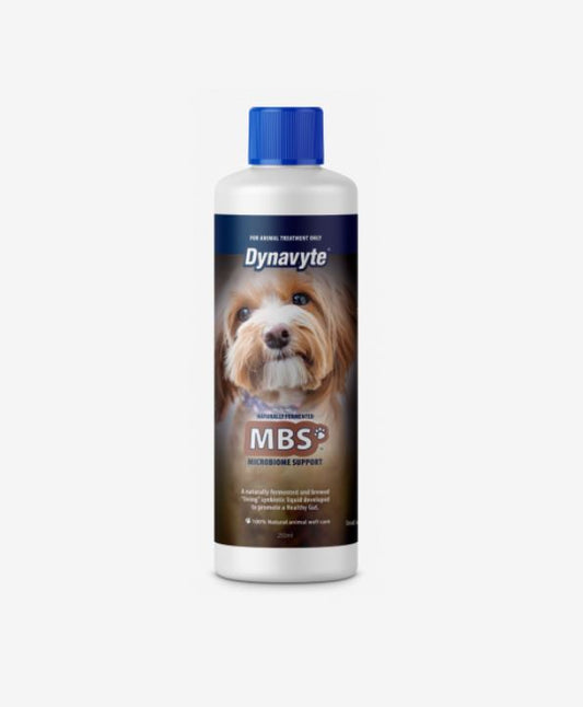 Dynavyte MBS Dog