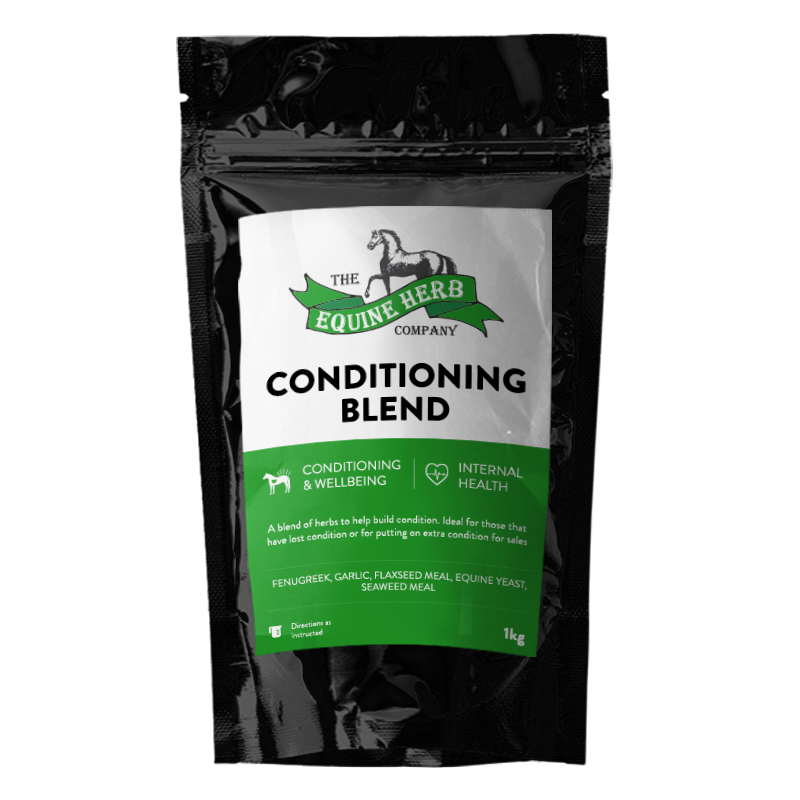EQUINE HERB CONDITIONING BLEND