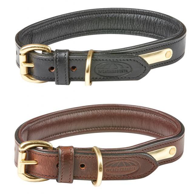 WB Padded Leather Dog Collar