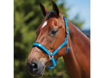 WEATHERBEETA LUXE BREAKAWAY HEADCOLLAR