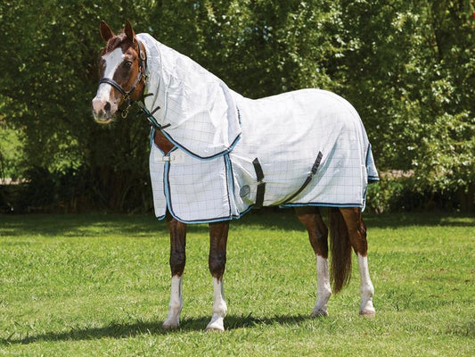 WB Summer Cotton Combo Scrunch Neck